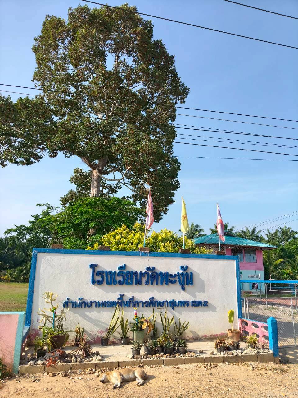 โรงเรียนพะงุ้น