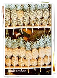 สับปะรดสวี